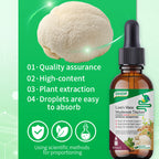 NUTRIBLOOM Lion's Mane Mushroom Tincture – Supports Digestion, Immunity & Stomach Health (60ml)